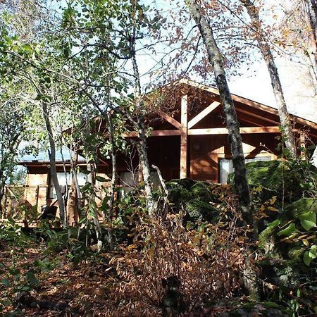 拉斯特朗卡斯Cabana Bosque Viejo别墅 外观 照片