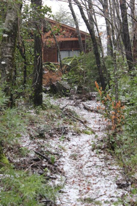 拉斯特朗卡斯Cabana Bosque Viejo别墅 外观 照片